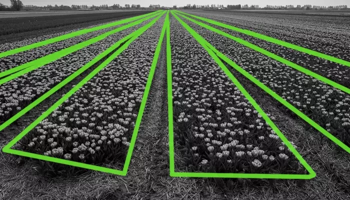 Crop and Plant Annotation