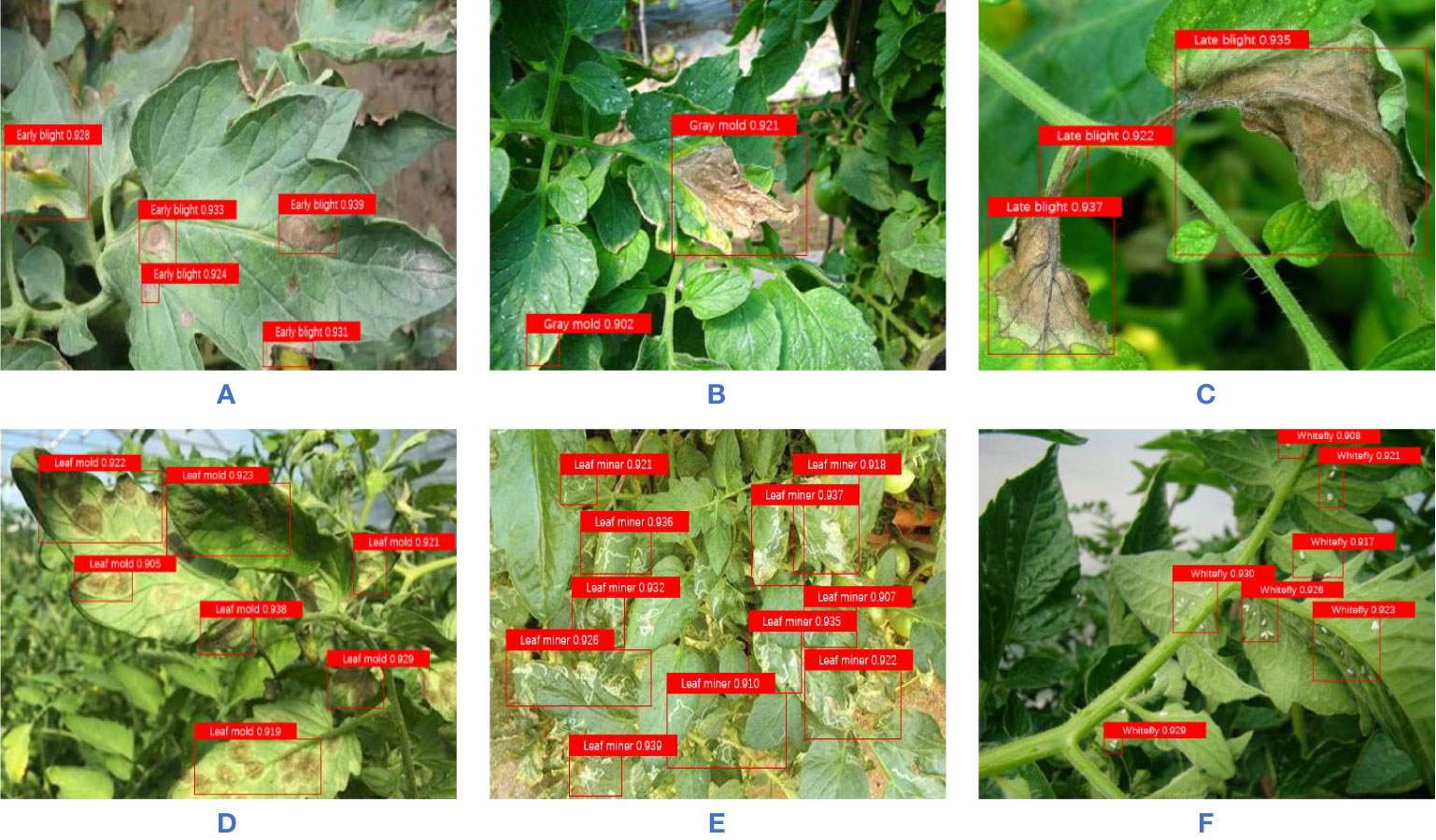 Pest and Disease Annotation